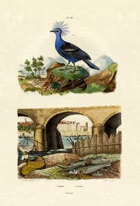 ガジョン、1833-39 作： French School